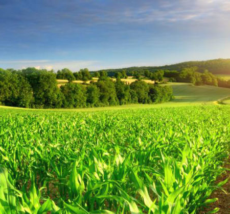 Agriculture 790x420