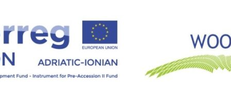 WOOL Logo 1 768x192 (1)