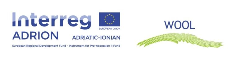 WOOL Logo 1 768x192 (1)