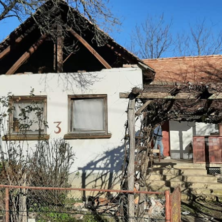 133833403 2834097446825203 2237403926978903235 n